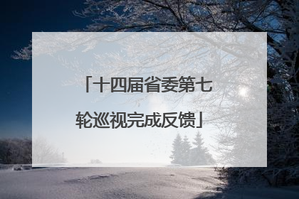 十四届省委第七轮巡视完成反馈