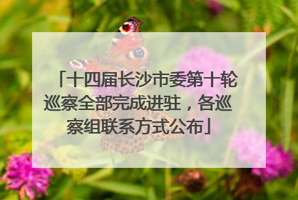十四届长沙市委第十轮巡察全部完成进驻，各巡察组联系方式公布