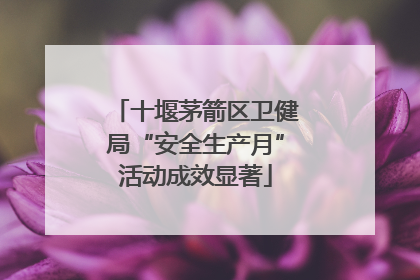 十堰茅箭区卫健局“安全生产月”活动成效显著