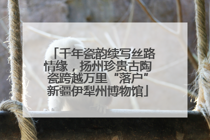 千年瓷韵续写丝路情缘，扬州珍贵古陶瓷跨越万里“落户”新疆伊犁州博物馆