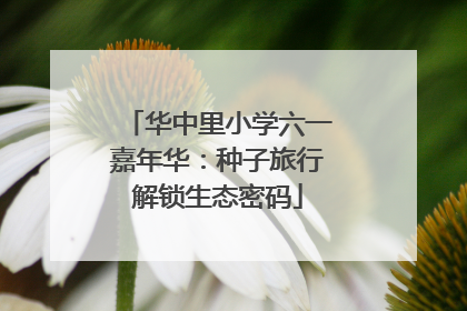 华中里小学六一嘉年华：种子旅行解锁生态密码