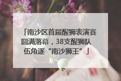 南沙区首届醒狮表演赛圆满落幕，38支醒狮队伍角逐“南沙狮王”