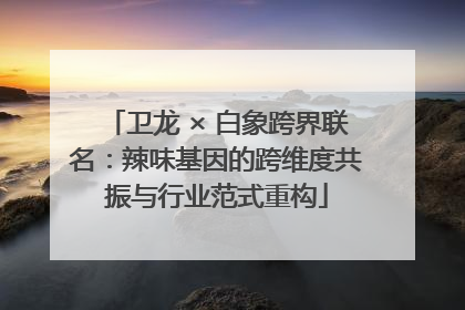 卫龙 × 白象跨界联名：辣味基因的跨维度共振与行业范式重构