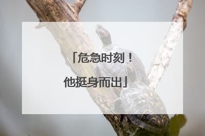 危急时刻！他挺身而出