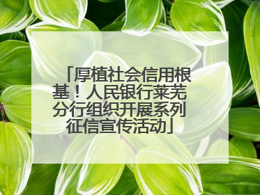 厚植社会信用根基！人民银行莱芜分行组织开展系列征信宣传活动