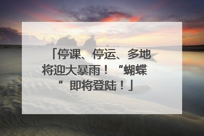 停课、停运、多地将迎大暴雨！“蝴蝶”即将登陆！