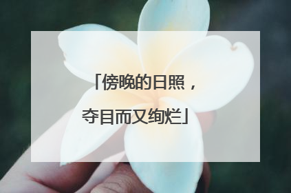 傍晚的日照，夺目而又绚烂