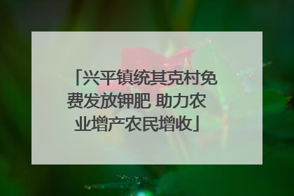 兴平镇统其克村免费发放钾肥 助力农业增产农民增收