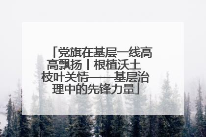党旗在基层一线高高飘扬丨根植沃土 枝叶关情——基层治理中的先锋力量