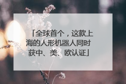 全球首个，这款上海的人形机器人同时获中、美、欧认证