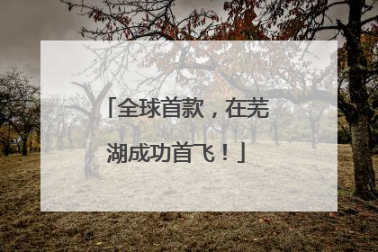 全球首款，在芜湖成功首飞！