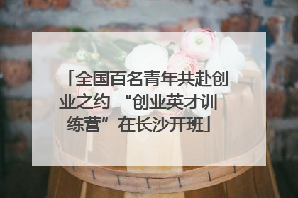 全国百名青年共赴创业之约 “创业英才训练营”在长沙开班