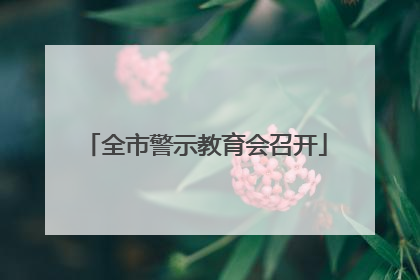 全市警示教育会召开