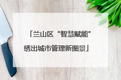 兰山区“智慧赋能”绣出城市管理新图景