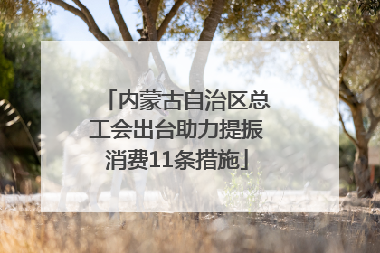 内蒙古自治区总工会出台助力提振消费11条措施