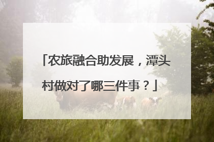 农旅融合助发展，潭头村做对了哪三件事？