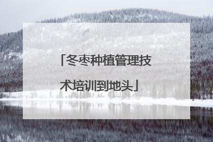 冬枣种植管理技术培训到地头