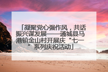 凝聚党心强作风，共话振兴谋发展——通城县马港镇金山村开展庆“七一”系列庆祝活动