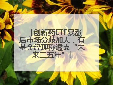 创新药ETF暴涨后市场分歧加大，有基金经理称透支“未来三五年”