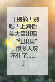 别摘！别吃！上海街头大量出现“红果果”，很多人忍不住了……