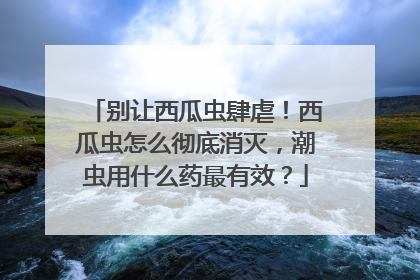 别让西瓜虫肆虐！西瓜虫怎么彻底消灭，潮虫用什么药最有效？