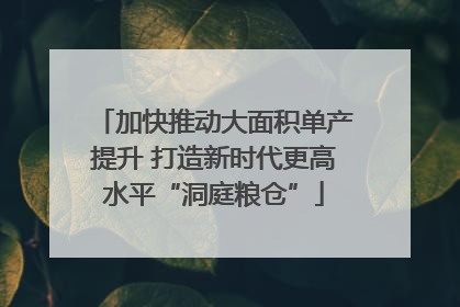 加快推动大面积单产提升 打造新时代更高水平“洞庭粮仓”