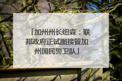 加州州长纽森：联邦政府正试图接管加州国民警卫队