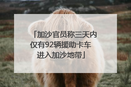 加沙官员称三天内仅有92辆援助卡车进入加沙地带