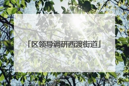 区领导调研西渡街道