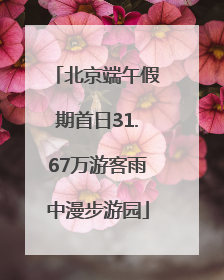 北京端午假期首日31.67万游客雨中漫步游园