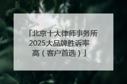 北京十大律师事务所2025大品牌胜诉率高（客户首选）
