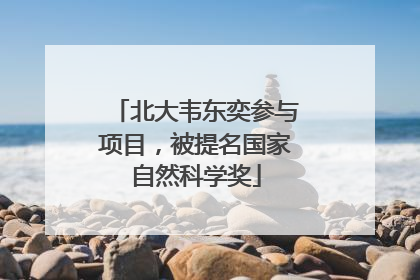 北大韦东奕参与项目，被提名国家自然科学奖