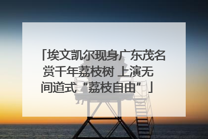 埃文凯尔现身广东茂名 赏千年荔枝树 上演无间道式“荔枝自由”