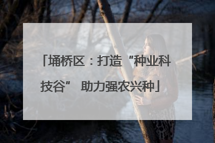 埇桥区：打造“种业科技谷” 助力强农兴种