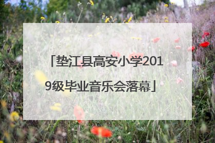 垫江县高安小学2019级毕业音乐会落幕