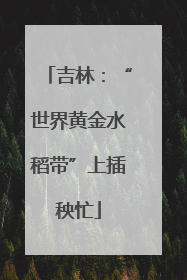 吉林：“世界黄金水稻带”上插秧忙