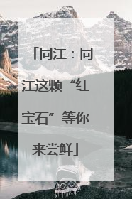 同江：同江这颗“红宝石”等你来尝鲜