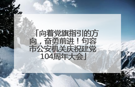 向着党旗指引的方向，奋勇前进！句容市公安机关庆祝建党104周年大会