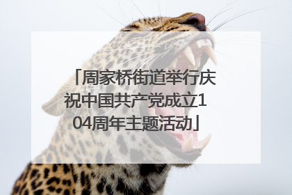 周家桥街道举行庆祝中国共产党成立104周年主题活动