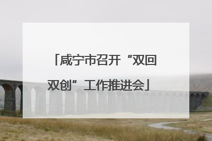 咸宁市召开“双回双创”工作推进会