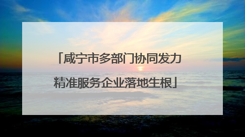 咸宁市多部门协同发力 精准服务企业落地生根