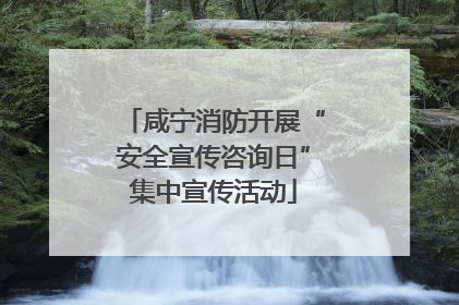 咸宁消防开展“安全宣传咨询日”集中宣传活动