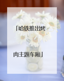 哈铁推出烤肉主题车厢