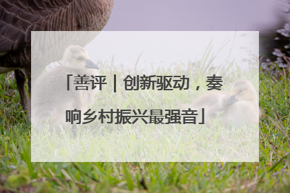 善评｜创新驱动，奏响乡村振兴最强音