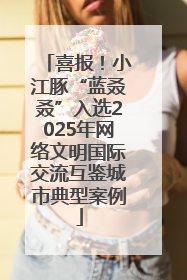 喜报！小江豚“蓝叒叒”入选2025年网络文明国际交流互鉴城市典型案例