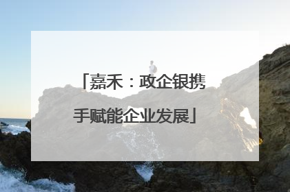 嘉禾：政企银携手赋能企业发展