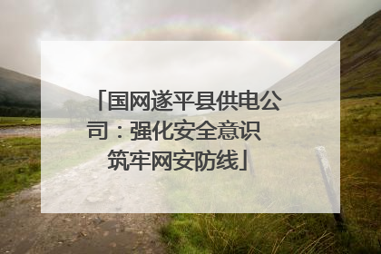 国网遂平县供电公司：强化安全意识 筑牢网安防线