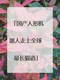 国产人形机器人走上全球最长猫道
