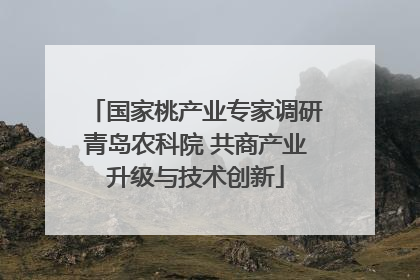 国家桃产业专家调研青岛农科院 共商产业升级与技术创新