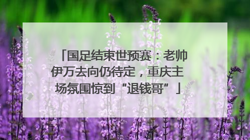 国足结束世预赛：老帅伊万去向仍待定，重庆主场氛围惊到“退钱哥”